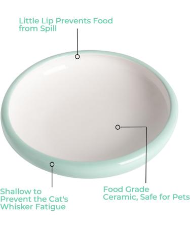 ComSaf Ceramic Cat Feeding Bowl Wide Shallow Cat Food Water Dish Whisker Friendly Design Whisker Fatigue Free shallow cat bowl Non Spill Pet Bowl 300ML Pack of 2 Green Green*2 - Buy Online on GoSupps.com