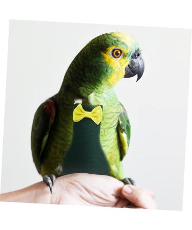 Mipcase Flying Bird Diapers - 2pcs Poultry Bird Diapers for Pets Cotton Nymphensittich & Papage Diapers (22x12cm) - Perfect for Small Chickens & Parrots - Buy Online on GoSupps.com
