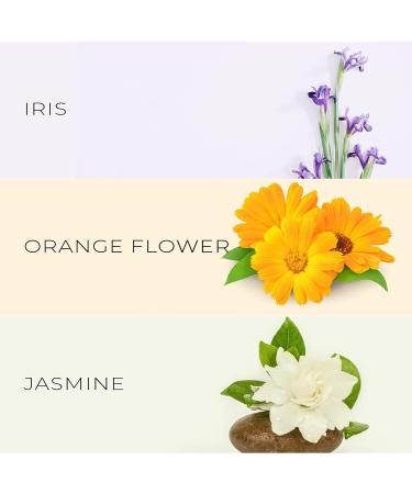 David Walker Tragedi perfume Fragrances | Exclusive Collection | Long lasting perfumes for Women's | Iris Flower | 50ml/1.7oz (Pack of 1) - Buy Online on GoSupps.com
