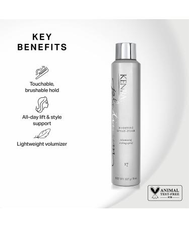 Kenra Platinum Boosting Spray-Foam 17 - Volumizing Styling Spray - 8 oz - For All Hair Types - Buy Online on GoSupps.com