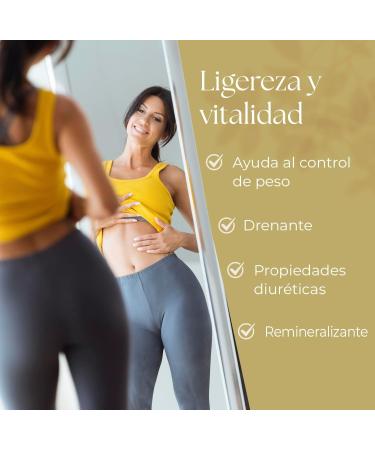 Obire Artichoke + Horsetail Ext Dry 300 Mg 60 Cap - Buy Online on GoSupps.com