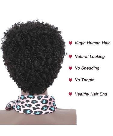 Ms Taj Short Afro Kinky Curly Human Hair Wig | Brazilian Virgin 150% Density Afro Wig for Black Women | Machine Made Unprocessed Natural Color - Buy Online on GoSupps.com