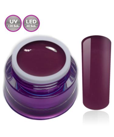 Color Gel Caspia Plum Purple - UV LED Nail Gel | Studio Quality | RM Beautynails 5ml - International Shipping - Buy Online on GoSupps.com