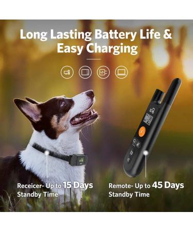 DOG CARE Dog Training Collar for Large Medium Dogs - Remote Shock Collar with Beep, Vibration, Static Modes - Adjustable Levels - Long Range Control - Black - Buy Online on GoSupps.com