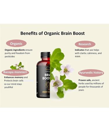 Kailash Herbals Bacopa, Organic Brain Booster, Nootropic Brain Supplement, Bacopa Monnieri/Brahmi, for Mental Sharpness, Focus, Memory, and Cognitive Wellness, 120 Capsules 500mg, 2 Month Supply - Buy Online on GoSupps.com