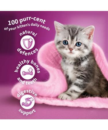 Whiskas Junior Chicken 7 kg Bag Kitten Cat Dry Food - Pack May Vary 7 kg (Pack of 1) - Buy Online on GoSupps.com