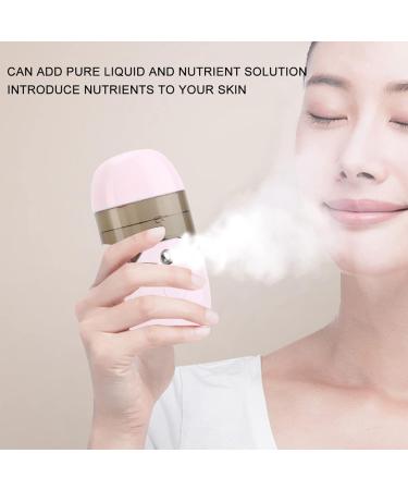 Handy Mist Humidifier Moisturizing Skin Care Face Steamer Facial Nano Sprayer Handheld Mist Humidifier Mini Face Steamer Handheld Facial Mist Sprayer (Pink) - Buy Online on GoSupps.com