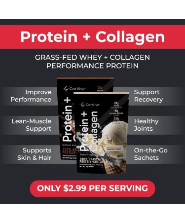 Protein + Collagen Powder | 23g Protein (Grass-Fed Whey + Collagen) | 3.7g BCAAs | Supports Muscle & Joint Health | Gluten & Soy Free | No Artificial Ingredients | 15 Sachets - Vanilla New Vanilla - Buy Online on GoSupps.com
