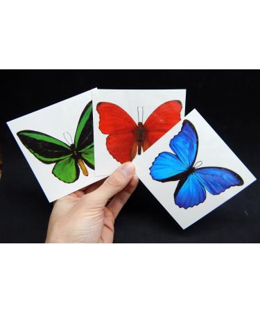 12 Sheets Large Butterfly Temporary Tattoos by Butterfly Utopia - 12 Count Pack - Buy Online on GoSupps.com