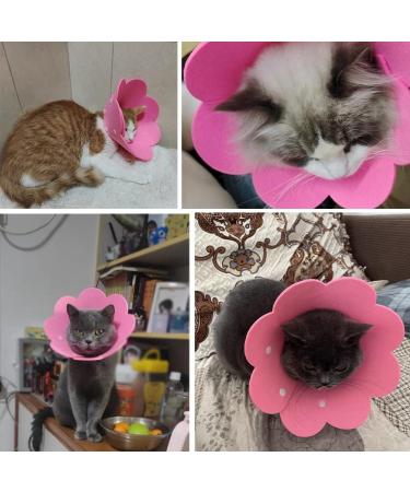 2 Pcs Cat Recovery Collar Anti-bite Anti-lick Adjustable Dog Cat Cone Soft Lightweight Elizabethan Collar for Cat Kitten Prevent from Licking Wounds - Buy Online on GoSupps.com