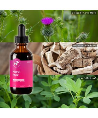 Mountain Meadow Herbs Maxi-Milk- Natural Liquid Lactation Support to Increase Breast Milk Production Quickly & Effectively for Breastfeeding Moms - 2 oz 2 Ounce - Buy Online on GoSupps.com