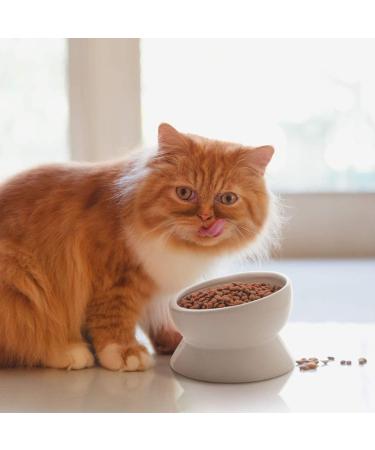 Y YHY Raised Ceramic Cat Food Bowl - 15oz Elevated Pet Water Bowl - No Spill, Dishwasher Safe White - Buy Online on GoSupps.com