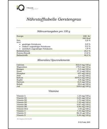 Buy Vivanutria Pure Organic Barley Grass Powder 400g - Raw Food Quality Vegan & Tested Organic with Analysis Certificate - 3-Month Pack from Germany - Buy Online on GoSupps.com