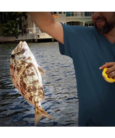 Yoyito Gold Aluminum Fishing Line Reel - Lightweight & Durable for International Fishing Adventures - Buy Online on GoSupps.com