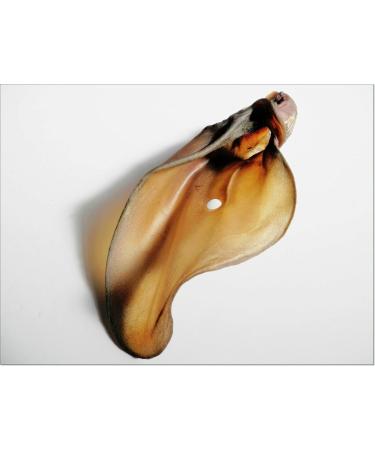 DriedDogTreats 10pcs Large Dried Thick Cow Beef Ears Grade A - FULL along with the auricle! 100% NAtural Dog Treats Snacks - Buy Online on GoSupps.com