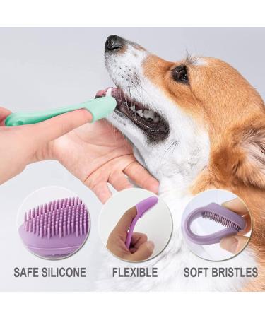 Dog Toothbrush Dog Finger Toothbrush 6Pack Silicone Dog Toothbrush for Dog Dental Care Easy Dog Cat Puppy Teeth Cleaning (Pink) - Buy Online on GoSupps.com