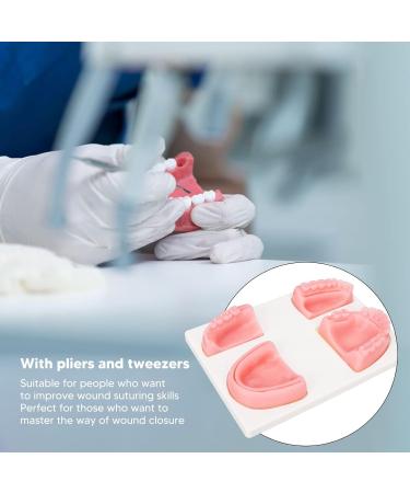 Dental Suture Exercise Set | Oral Suturing Training Tools for Medical & Dentistry Students - Silicone Models Pliers Tweezers Thread Included - Buy Online on GoSupps.com