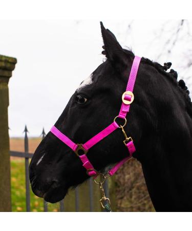 Halter for horse warmblood thoroughbred cold blood - stable -halter pasture 2 compartment adjustable to chin straps and neck pieces safe & tearproof (pink shetland pony (shetty)) pink shetland pony (shetty)