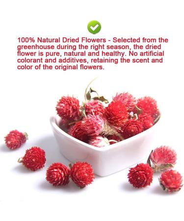 PlantGift Dried Red Artful Plum Tea 30G/1oz - Gluten-Free Non-GMO Dried Flowers Herbs Kit for Bath Soap Making Dry Flowers - Buy Online on GoSupps.com