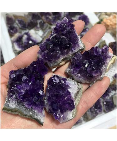 Natural Raw Amethyst Quartz Purple Stones Specimen Minerals Home Decoration (Size : 5pcs) HOMEZHOU (Size : 5pcs) - Buy Online on GoSupps.com