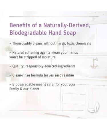 Grab Green Hand Soap 12 oz - Tangerine Lemongrass Scent - Plant & Mineral Based - Soothing Aloe - 3 Pack - Buy Online on GoSupps.com