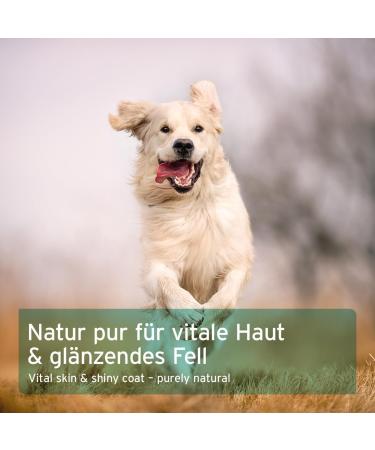 AniForte Fellharmonie coat care for dogs & cats Vitale Powder 250g - shiny coat optimal care from the inside for skin and hair supports metabolism and the immune system - Buy Online on GoSupps.com