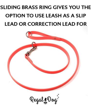 Regal Dog Products Waterproof Halfband & Leash for Small to Large Dogs - 1.5m Orange Collar with Middle Ring for Puppies & Adult Dogs - Buy Online on GoSupps.com