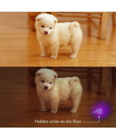 Modoao UV Flashlight | Black Light Detector for Pets Bed Bugs & Stains | 9 LEDs - 1PC 51 LEDs - International Shipping - Buy Online on GoSupps.com