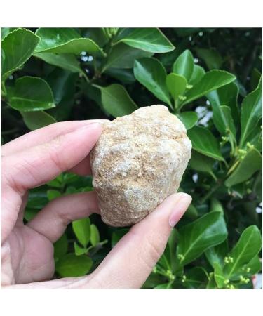 Stone Crafts Natural Agate geode Crystal Hole Specimen Contains Clean Crystal Clusters of Very Beautiful Small Stones and Crystals Natural Luster - Buy Online on GoSupps.com