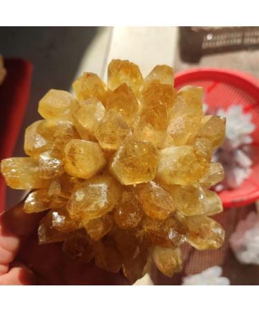 Crystal Rough Specimen Healed 1PC Natural Yellow Ghost Phantom Quartz Crystal Cluster Specimen Home Decoration Office Living Room Crystal Decora As a Gift 400-500g - Buy Online on GoSupps.com