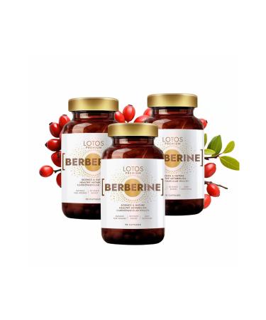 Lotos Pharma Berberine Premium 500mg - 90 Capsules - Pack of 3 - Vegan Friendly - Maximum Absorption Berberis Aristata - GMP Certified Quality System - Berberine No Additives