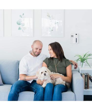 Blue Ice Fragrance Oil 4 oz Refill for Oil Diffuser - Home Fragrance - 4 Ounce - Pack of 1 - Buy Online on GoSupps.com