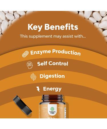 Natural White Kidney Bean Extract Capsules - Energy Booster & Antioxidant for Digestive Health - 60 Count - Buy Online on GoSupps.com