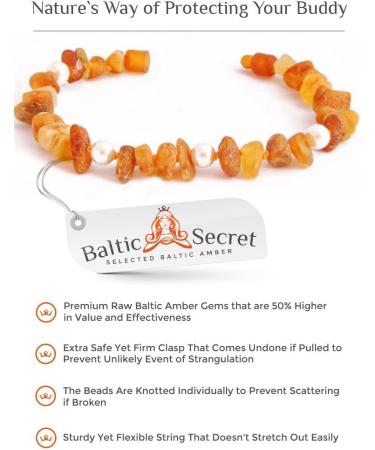 Bold Baltic Amber Chain for Dogs & Cats - 100% Natural Tick Protection | All Sizes Available | Baltic Secret - Buy Online on GoSupps.com