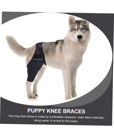 GRIRIW Dog Knee Protectors Dog Supplies Dog Foreleg Brace Dog Foreleg Brace Dog Injured Leg Cover Pet Injury Knee Leg Brace for Dog Step in Dog Harness Dog Knee Cover L As Shown - Buy Online on GoSupps.com