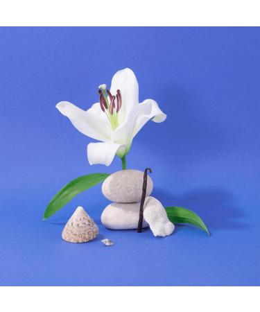 Compagnie de Provence Savon de Marseille Extra Pure Liquid Soap - Mediterranean Sea - 16.7 Fl Oz Glass Pump Bottle - Buy Online on GoSupps.com