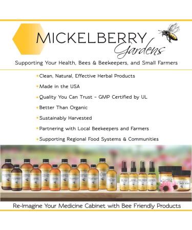 Ginger Honey Tonic - Organic Ginger Root Immune + Digestion Support (4oz) - Buy Online on GoSupps.com