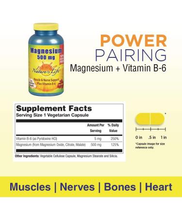 Natures Life Magnesium 500mg | High Potency Supplement with Vitamin B-6 | Muscle & Nerve Support | Non-GMO | 275 Vegetarian Capsules - Buy Online on GoSupps.com