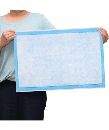 Dealmed Economy Absorbency Medical Underpads 100 Count | 2-Ply Tissue Fill for Pet Pads and Furniture Protection | 17 x 24 Blue Barrier | 1 Pack - Buy Online on GoSupps.com