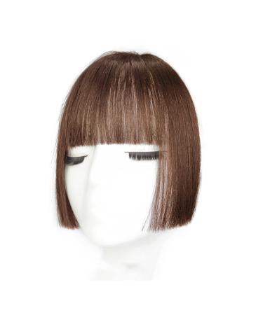 Bangs Hair Clip Clip in Hair Bangs Synthetic Hair Princess Cut Bangs Hair Piece Fringe Bangs Clip-on Quick Cosplay Bangs Hair Extensions Fake Straight Natural Fringe Hair for Women Bangs Clip in Hair Light brown