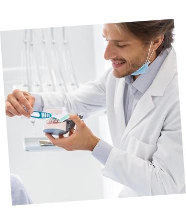 Collbath 2-Piece Prosthesis Cleaning Brush Set - Portable Double-Head Toothbrush for Effective Prosthesis Care - Buy Online on GoSupps.com