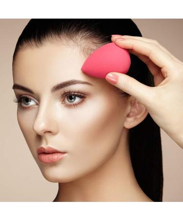SourceTon Makeup Sponges & 20-Piece Brush Set - Professional Foundation & Eyeshadow Brushes in 4 Colors | International Shipping - Buy Online on GoSupps.com