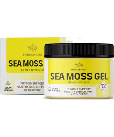 HERBAMAMA Sea Moss Gel 12 oz - Organic Wildcrafted Irish Sea Moss Supplement for Thyroid, Skin, Hair Support - Vegan Dr Sebi Approved - 12 Ounce Organic Raw Gel - Buy Online on GoSupps.com