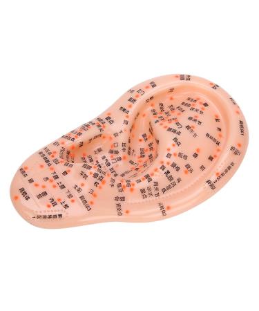 Human Ear Acupuncture Model with Acupuncture Points - Best Ear Massage Therapy Tool for Pain Relief & Wellness - Buy Online on GoSupps.com