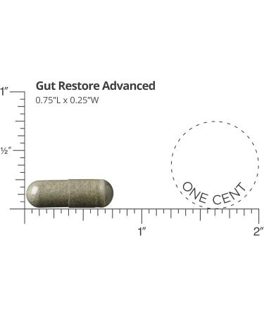 Dr. Drew Sinatra s LifeBiome Gut Restore Advanced Maximum Strength Microbiome Probiotic with Fermented Botanicals 11 Multi Strains 30 Once-Daily Capsules Vegetarian Soy- Dairy- and Gluten Free - Buy Online on GoSupps.com