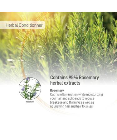 Moraz Natural Herbal Hair Conditioner 500 ml - Nourishing & Natural Hair Care for All Hair Types - International Shipping Available - Buy Online on GoSupps.com