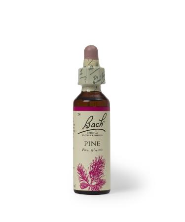 Bach Original Flower Remedies - Pine 20ml