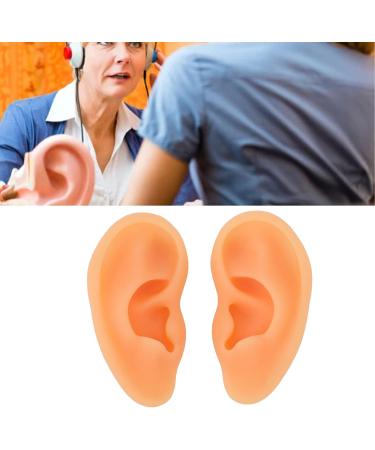 ZJchao 2Pcs Silicone Acupuncture Ear Model for Doctor Training | Highly Simulated Teaching Mould for Hospital Professionals - Buy Online on GoSupps.com