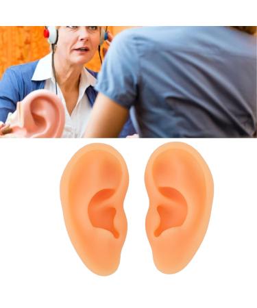 Ear Model ANGGREK 2 Pieces Ear Modeling Tools Hearing Amplifier Dispalying Assistance Display Ear Model Ear Wraps for Teaching Replacement - Buy Online on GoSupps.com