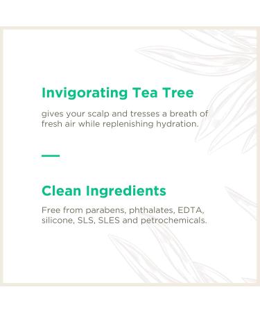 Tea Tree Hydration Hair Mask Sachet - Purifying Vegan & Gluten Free - 6 Pack - Paraben & Sulfate Free - Buy Online on GoSupps.com